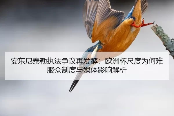 安东尼泰勒执法争议再发酵：欧洲杯尺度为何难服众制度与媒体影响解析