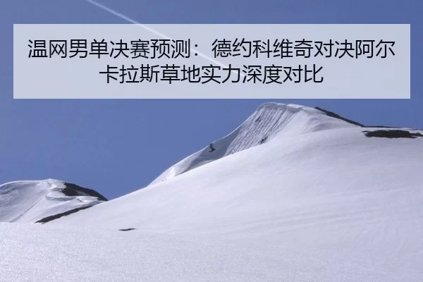 温网男单决赛预测：德约科维奇对决阿尔卡拉斯草地实力深度对比
