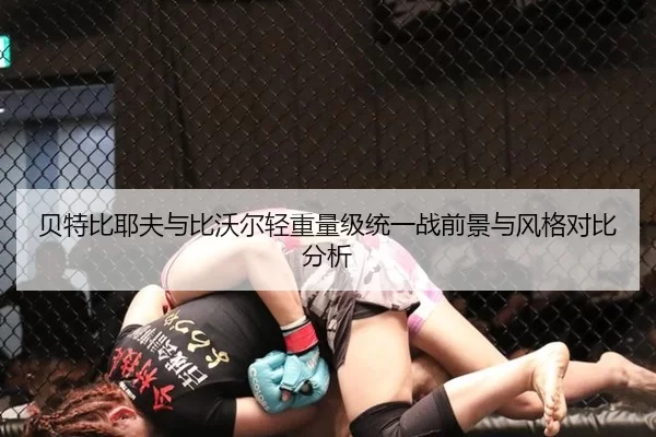 贝特比耶夫与比沃尔轻重量级统一战前景与风格对比分析